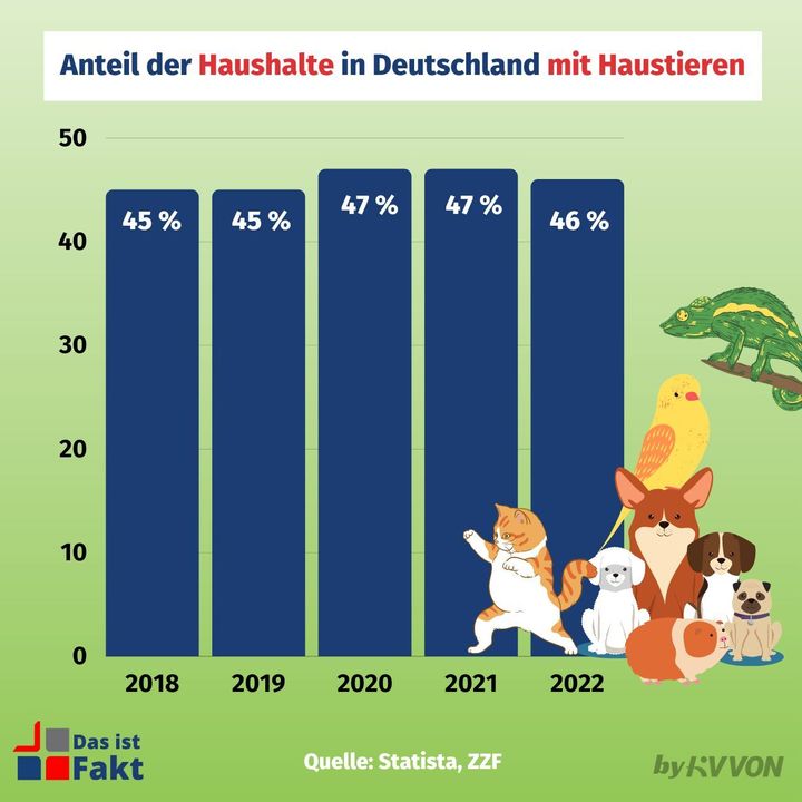 Katzen Sind Die Beliebtesten Haustiere In Deutschland