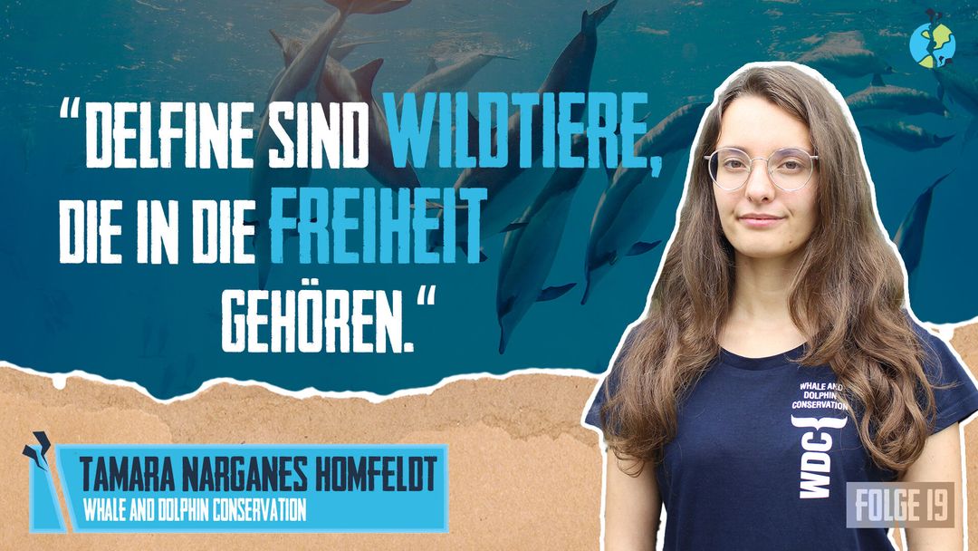 Die dunklen Seiten von Delfinarien