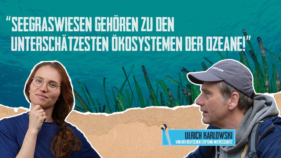 Seegraswiesen: Underdog des Klimaschutzes? - KrisenKinder-Podcast #16 mit Ulrich Karlowski