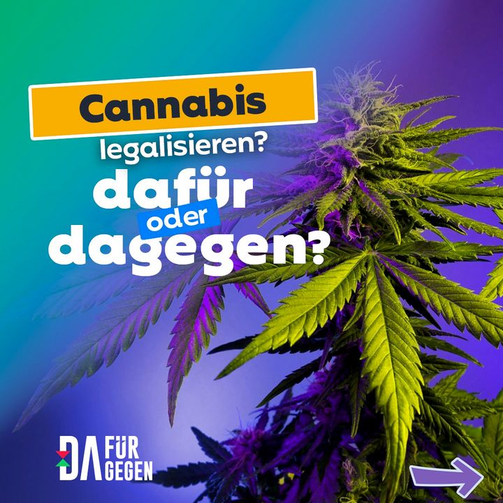 Cannabis Legalisierung Pro Und Contra