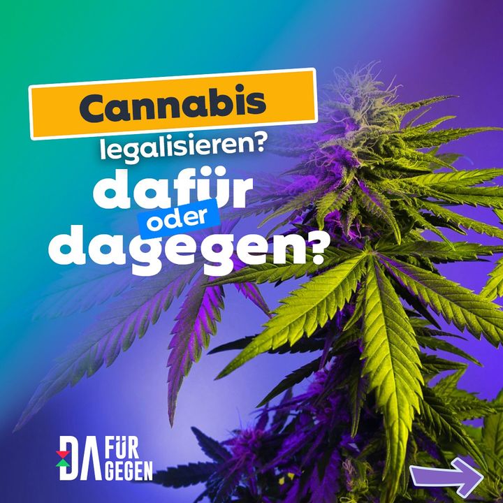 CannabisLegalisierung Pro und Contra