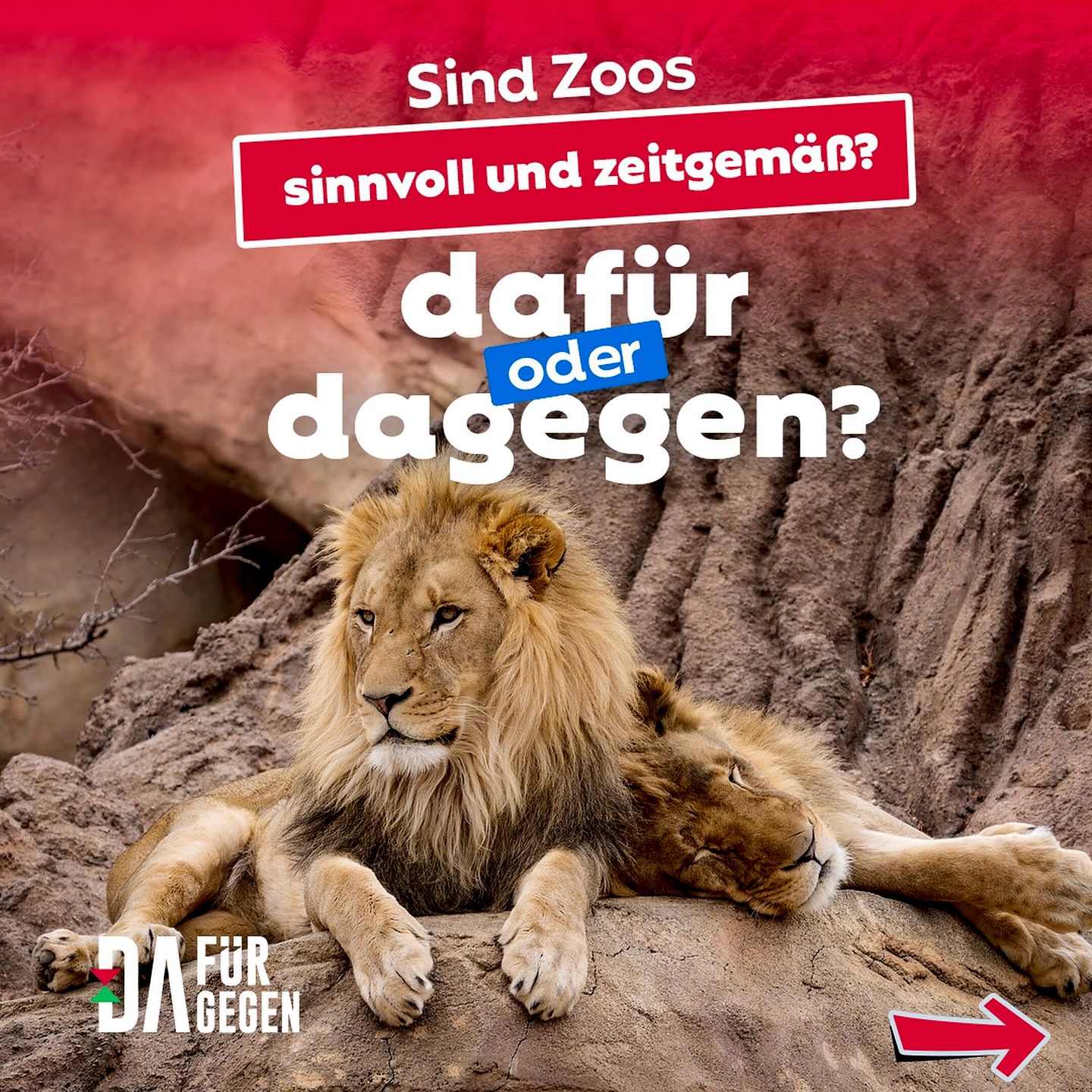 Sind Zoos sinnvoll und noch zeitgemäß? Pro und Contra